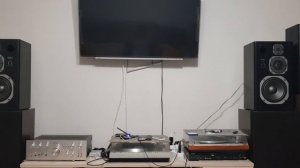 coral dx-3
