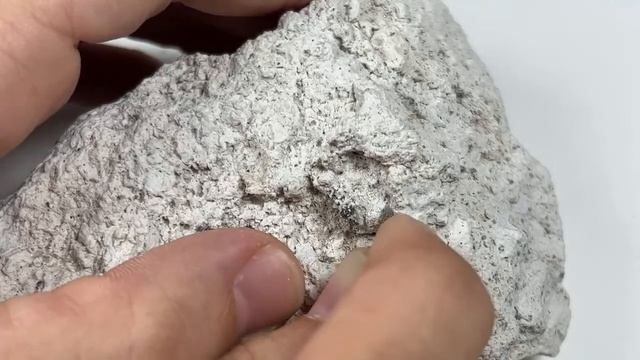 Prepping Bixbyite from Topaz Mtn: LIVE #rockhounding #thefinders #teamrockit смотреть онлайн