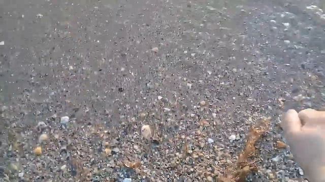 Это что за куст, или наконец-то я дошла до моря... смотреть онлайн