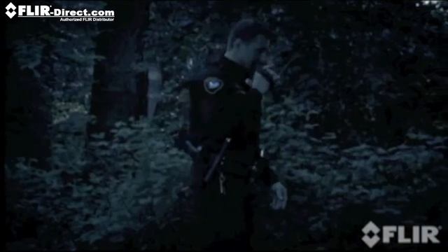 Flir HS смотреть онлайн