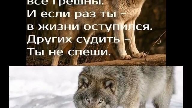 Волк