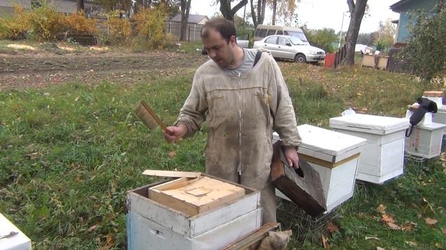 Дерево или Пластик  КАКАЯ КОРМУШКА ЛУЧШЕ ДЕРЕВЯННАЯ ИЛИ ПЛАСТИКОВА
