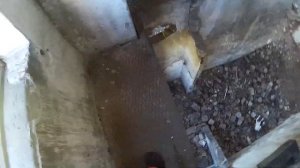 ШОК МАК РАЗБИЛ IPHONE 6 S  исследуем деревенские заброшки  чуть не упал с заброхи