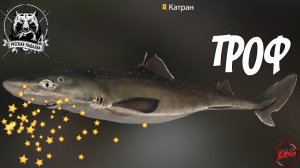 КАТРАН - ТРОФЕЙНЫЙ - НОРВЕЖСКОЕ МОРЕ  РУССКАЯ РЫБАЛКА 4 | RUSSIAN FISHING 4@Z-B-G 