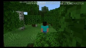 Download－Minecraft Beta v.1.14.25.1 Sem Xbox