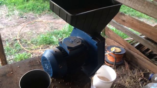 Дробим пшеницу в домашних условиях// Дробилка для пшеницы// Кормление овец дробленой пшеницей... смотреть онлайн