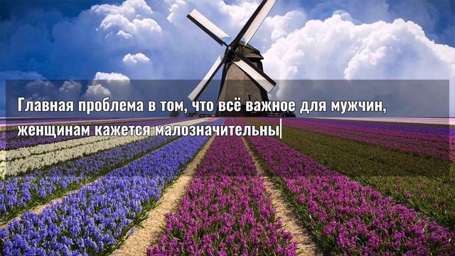 Что МУЖЧИНЫ ВСЕГДА ХОТЯТ  от женщин