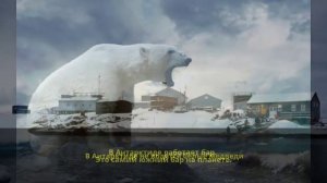 20 интересных фактов об Антарктиде