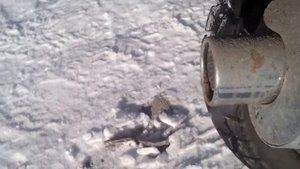 Запуск скутера NEXUS VIPER 49.9 в -15