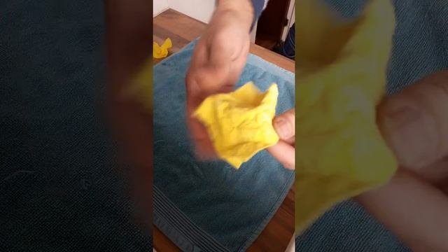 Handfeeding Baby Cockatiel With Nutribird A21