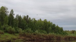 Река Баиха вместе с туроператором Mango. Туруханский район. Июнь 2020.