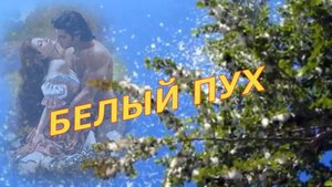 гр.Курские соловьи(новый состав) - Белый пух летит...