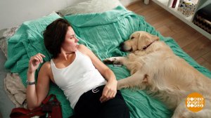 "Катя и Блэк". Дай, Блэк, на счастье лапу мне! Доброе утро. Фрагмент выпуска от 13.05.2020