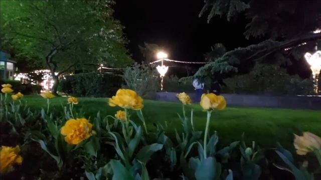 ▶️ КРЫМ СЕГОДНЯ  ?ПОЗДНИЙ ПРИЯТНЫЙ ВЕЧЕР НА НАБЕРЕЖНОЙ В ЯЛТЕ. ?СБЕР СТРОЯТ. ?ЯЛТА НА ДЗЕН
