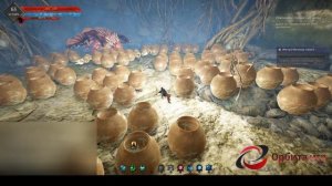 Black Desert - Магнус - Обиталище спящего дракона