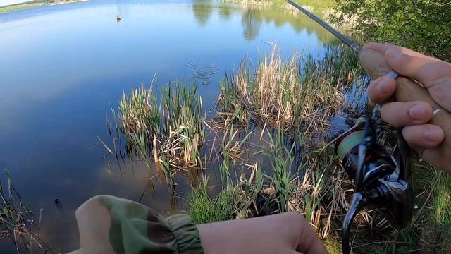 Ловля окуня на спиннинг с берега. Микроджиг. Подмосковье