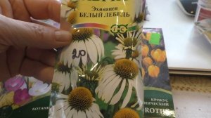 Покупаю семена цветов по вашим советам. Луковичные из Fix price