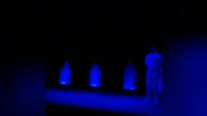 Цирк Аквамарин  / розыгрыш билетов в цирк / куда сходить в Москве