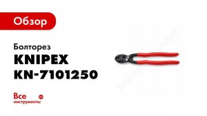 Обзор: Болторез KNIPEX КОБОЛТ KN-7101250