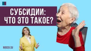 Субсидии: что это такое?