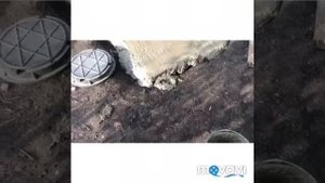 яма для слива стиральной машины и раковины(часть вторая)