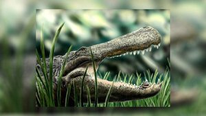 Монстры Древнего Мира - Крокодиломорфы \ Дейнозух \ Пурусзавр \ Саркозух.