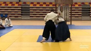 2019 Birankai Europe Summer Camp Wrocław - Piotr Masztalerz 6 dan Aikido