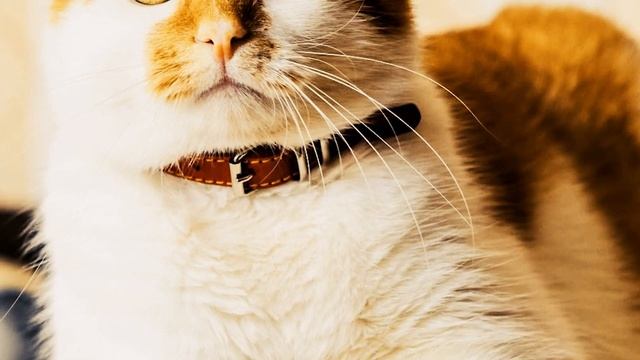 Над новенькой сотрудницей смеялись, а когда на корпоративе босс представил свою жену, удивились… смотреть онлайн