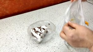 Как можно сохранить торт? Можно ли замораживать торт. Как выглядит торт после разморозки.