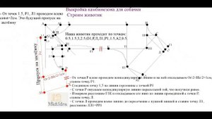 Выкройка комбинезона для собачки.