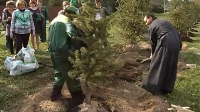 «Наш лес. Посади свое дерево» смотреть онлайн