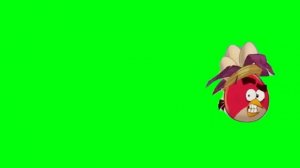 Ред из Энгри Бёдрс бежит Футаж для @Dommy_the_little_Tragon