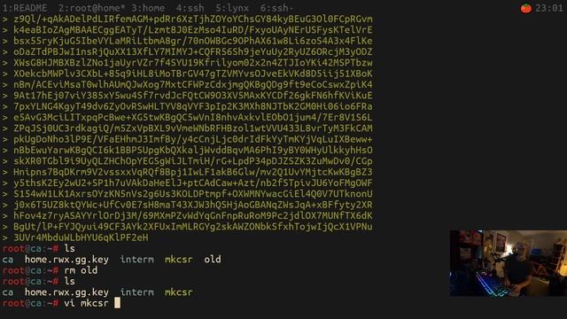 ?? coworking - bash scripting openssl, keycloak https from container смотреть онлайн