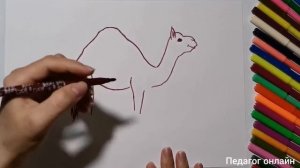 Как нарисовать верблюда. Простой рисунок для срисовки. Видео рисование
