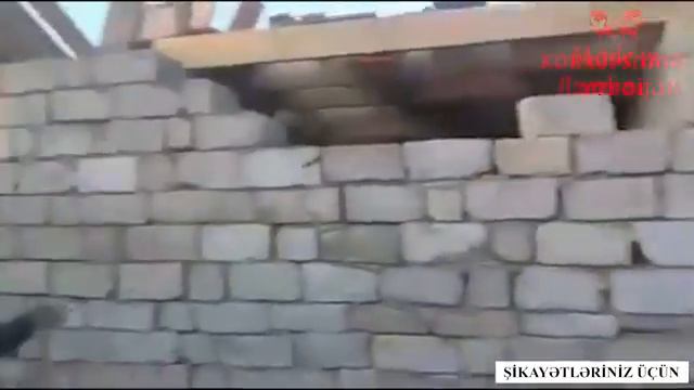 11 ноября 2018 г. смотреть онлайн