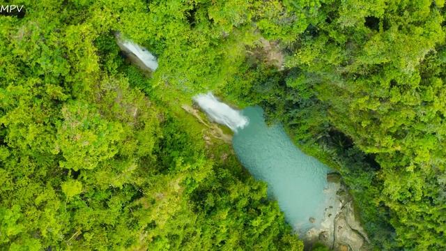 Guzheng Music, Birds Chirping, Chinese Instrumental Music, Relaxation Music, Beautiful Music смотреть онлайн