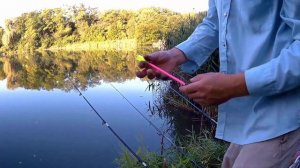 Ловля карася  (На поплавок) (Убийцу карася)