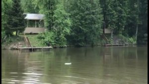 Зарыбление водоема в парк-отеле Лаврово Песочня