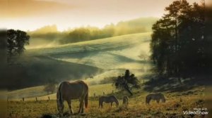 Артем Пивоваров - Дежавю