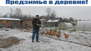 Самое насыщенное предзимье с момента переезда в деревню!