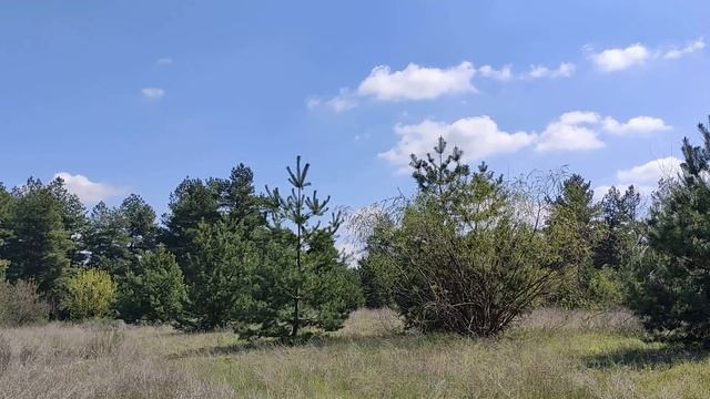 11 мая праздник Радоница. Поминальный день. Пасха мертвых. Народные приметы и традиции.