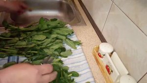 Заготовка мяты на зиму,