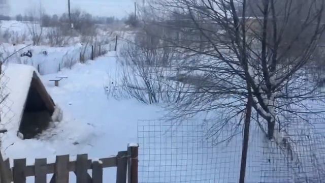 С наступающим Крещением.18.01.2021.