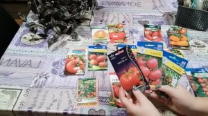 ТОМАТЫ 2024,ЛУЧШИЕ из ЛУЧШИХ !! Хочется все посеять - муки выбора)))