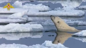 Новая земля