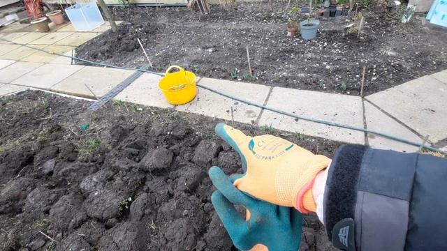 И дома и в саду, чем мы занимаемся Англия Манчестер March 2023 iRinaOk life смотреть онлайн