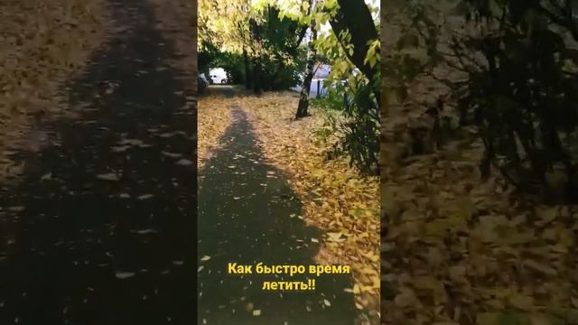 ... листья в поле пожелтели ,и кружатся, и летят.....