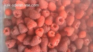 Ягоды малины. Геракл, Полка, Джоан Джей.