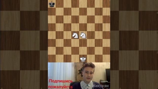 Обучение шахматам! Как ходят кони? #shorts #chess