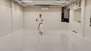 Бассай шо, медленно ( Bassai sho, slowly)#bassaisho#karate #каратэ #бассайшо#ката #егорисайчиков